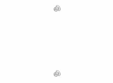 Dornbracht 0431200340090 Stop